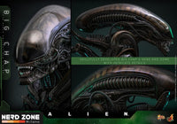 HOT TOYS - Alien Movie Masterpiece Action Figure 1/6 Big Chap 36 cm (MMS826)