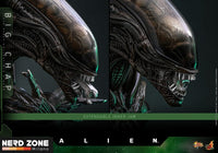 HOT TOYS - Alien Movie Masterpiece Action Figure 1/6 Big Chap 36 cm (MMS826)