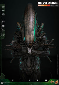 HOT TOYS - Alien Movie Masterpiece Action Figure 1/6 Big Chap 36 cm (MMS826)