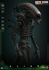 HOT TOYS - Alien Movie Masterpiece Action Figure 1/6 Big Chap 36 cm (MMS826)