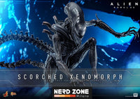 HOT TOYS - Alien: Romulus Movie Masterpiece Action Figure 1/6 Scorched Xenomorph 44 cm