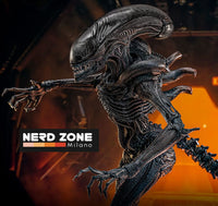 HOT TOYS - Alien: Romulus Movie Masterpiece Action Figure 1/6 Scorched Xenomorph 44 cm