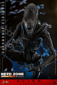 HOT TOYS - Alien: Romulus Movie Masterpiece Action Figure 1/6 Scorched Xenomorph 44 cm