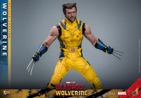HOT TOYS - DEADPOOL &amp; WOLVERINE - Wolverine (DELUXE Version) Action Figure 1/6 (MMS754)