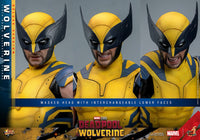 HOT TOYS - DEADPOOL &amp; WOLVERINE - Wolverine (DELUXE Version) Action Figure 1/6 (MMS754)