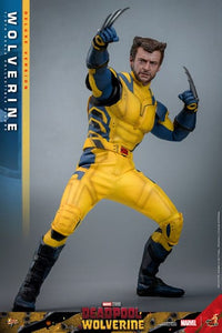 HOT TOYS - DEADPOOL &amp; WOLVERINE - Wolverine (DELUXE Version) Action Figure 1/6 (MMS754)