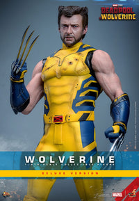 HOT TOYS - DEADPOOL &amp; WOLVERINE - Wolverine (DELUXE Version) Action Figure 1/6 (MMS754)