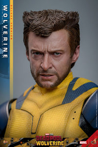 HOT TOYS - DEADPOOL &amp; WOLVERINE - Wolverine (DELUXE Version) Action Figure 1/6 (MMS754)