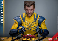 HOT TOYS - DEADPOOL &amp; WOLVERINE - Wolverine (DELUXE Version) Action Figure 1/6 (MMS754)