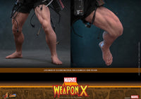 PRE ORDINE - HOT TOYS - Marvel Comic Masterpiece Action Figure 1/6 Weapon X 31 cm