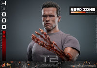 HOT TOYS - Terminator 2 Movie Masterpiece Action Figure 1/6 T-800 2.0 32 cm MMS795