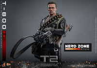 HOT TOYS - Terminator 2 Movie Masterpiece Action Figure 1/6 T-800 2.0 32 cm MMS795