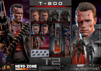 HOT TOYS - Terminator 2 Movie Masterpiece Action Figure 1/6 T-800 Battle Damaged Version 2.0 32 cm DX46