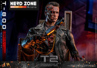 HOT TOYS - Terminator 2 Movie Masterpiece Action Figure 1/6 T-800 Battle Damaged Version 2.0 32 cm DX46