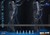 PRE ORDINE - HOT TOYS Alien Movie Masterpiece Action Figure 1/6 Alien Warrior 39 cm