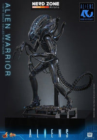PRE ORDINE - HOT TOYS Alien Movie Masterpiece Action Figure 1/6 Alien Warrior 39 cm