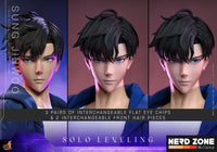 PRE ORDINE - HOT TOYS Solo Leveling Action Figure 1/6 Sung Jinwoo 32 cm