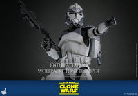 HOT TOYS Star Wars The Clone Wars Action Figure 1/6 104th Battalion Wolfpack Clone Trooper Deluxe Version 30 cm