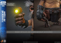 PRE ORDINE - HOT TOYS Star Wars: The Mandalorian & Grogu Life-Size Figure Anzellan Droidsmith 27 cm