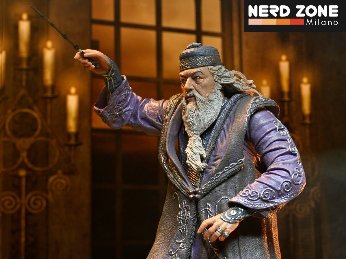 PRE ORDER - NECA - Harry Potter Legacy Collection Albus Dumbledore Af