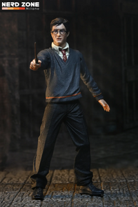 PRE ORDER - NECA - Harry Potter Legacy Collection Harry Potter Af