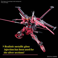 BANDAI GUNPLA - Hg Gundam Infinite Justice Type II 1/144