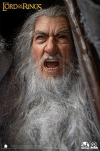 INFINITY STUDIO - Lord Of The Rings Master Forge Series Statue 1/2 Gandalf The Gray Ultimate Edition 156 cm