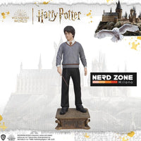 MUCKLE MANNEQUINS - Harry Potter Life-Size Statue Harry Potter 174 cm