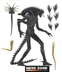 NECA - Alien Romulus Xenomorph XX121 Ultimate Action Figure