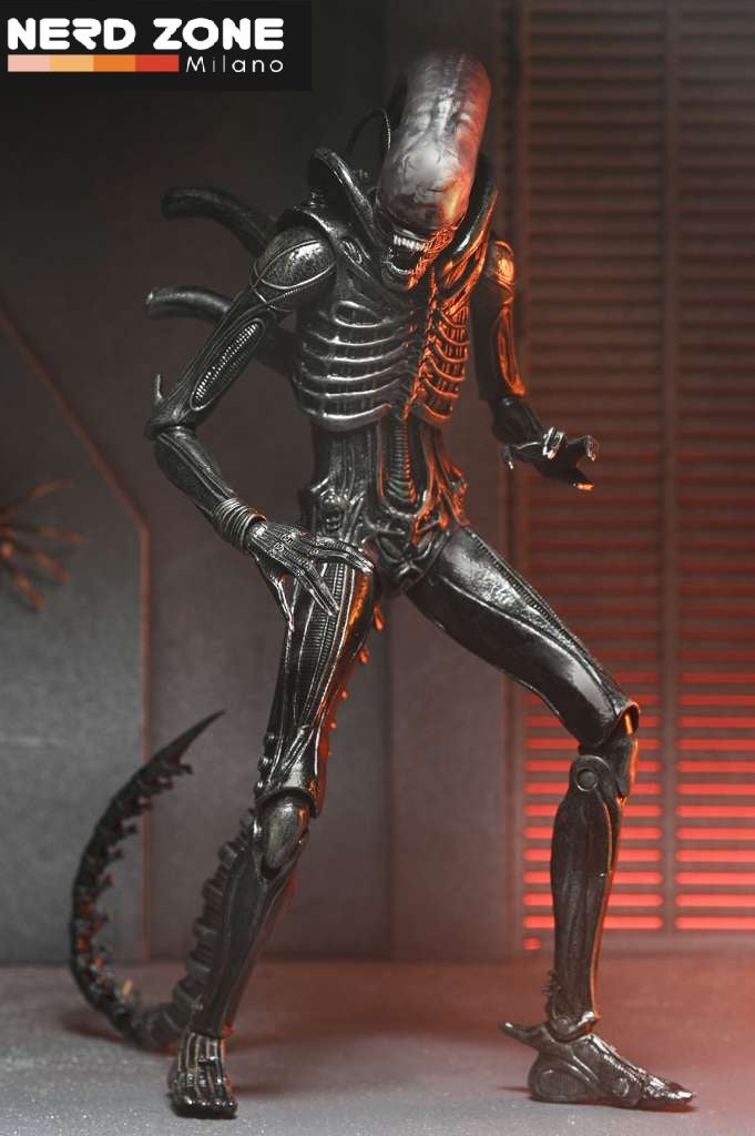 NECA Alien Romulus Xenomorph XX121 Ultimate Action Figure NERD ZONE neca-alien-romulus-xenomorph-xx121-ultimate-action-figure-nerd-zone
