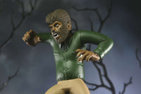NECA - Universal Monsters - Toony Terrors s. 10 af set (4)