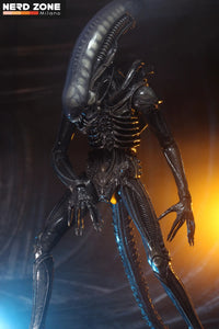 PRE ORDINE - NECA Alien Big Chap 1/4 Af R.