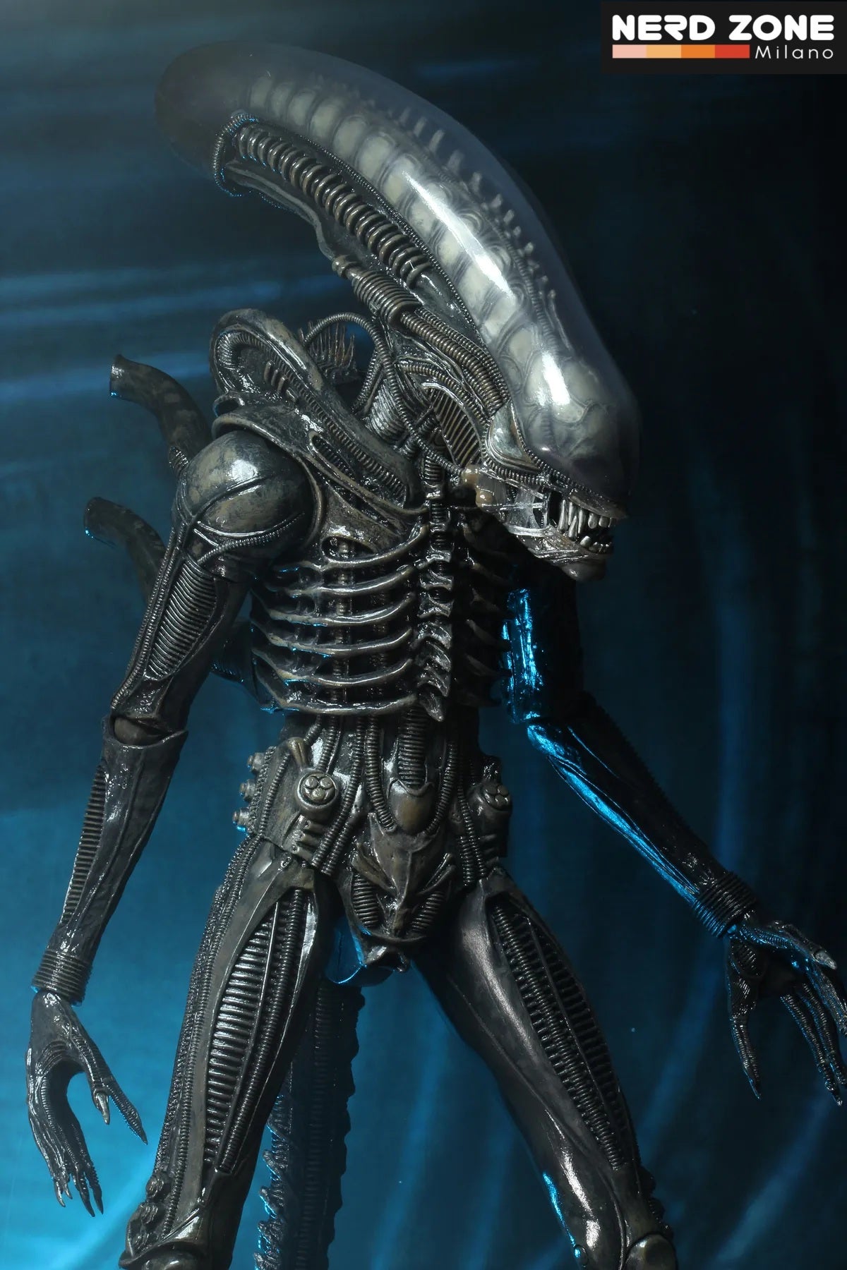 PRE ORDINE - NECA Alien Big Chap 1/4 Af R.