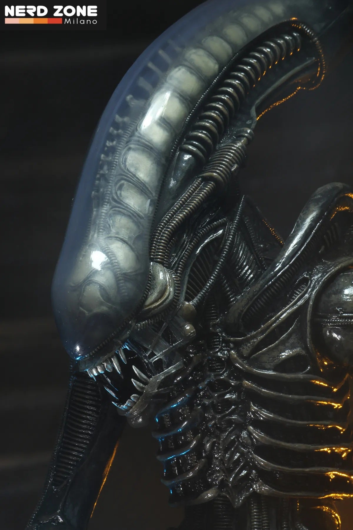 PRE ORDINE - NECA Alien Big Chap 1/4 Af R.