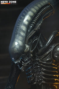 PRE ORDINE - NECA Alien Big Chap 1/4 Af R.