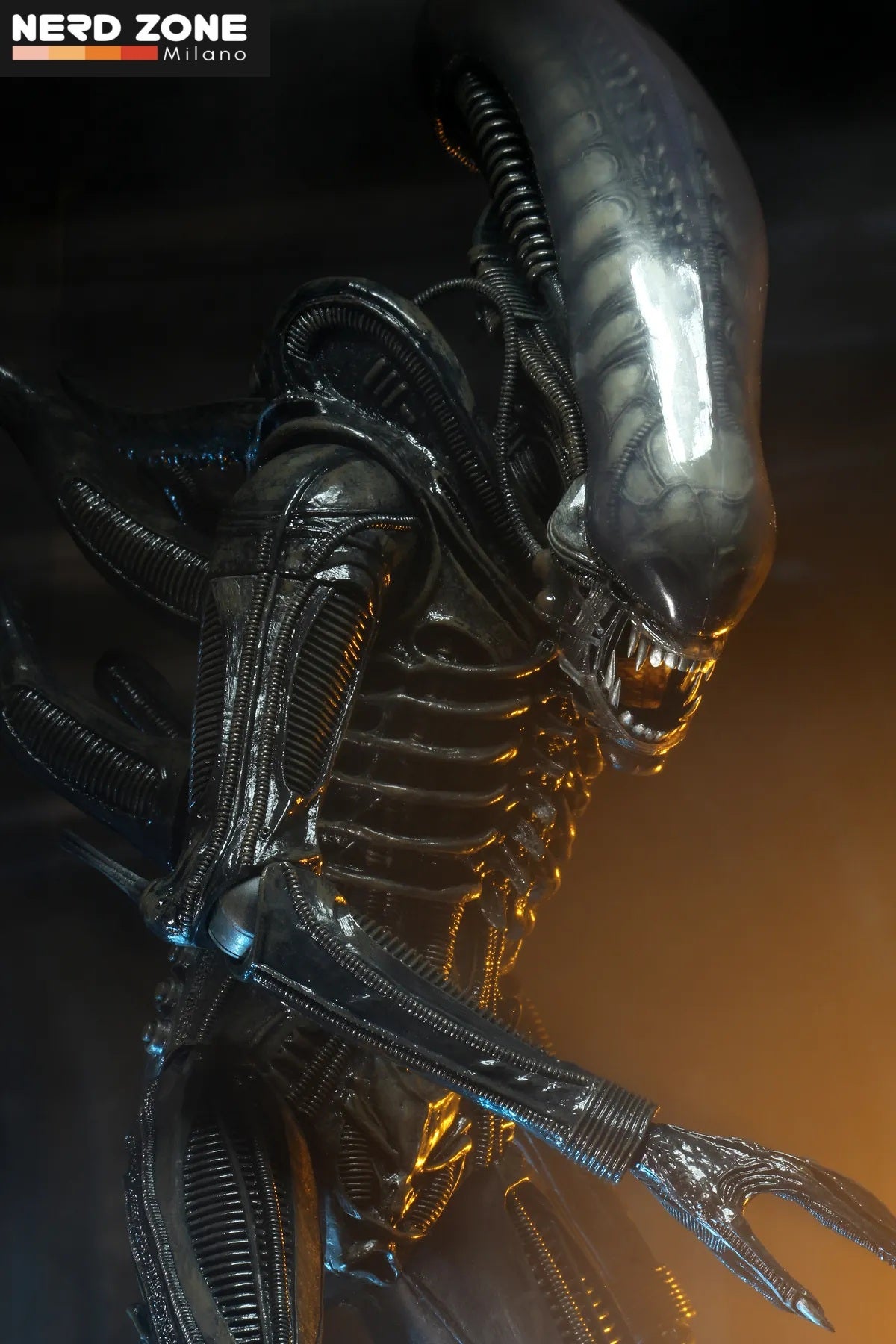 PRE ORDINE - NECA Alien Big Chap 1/4 Af R.