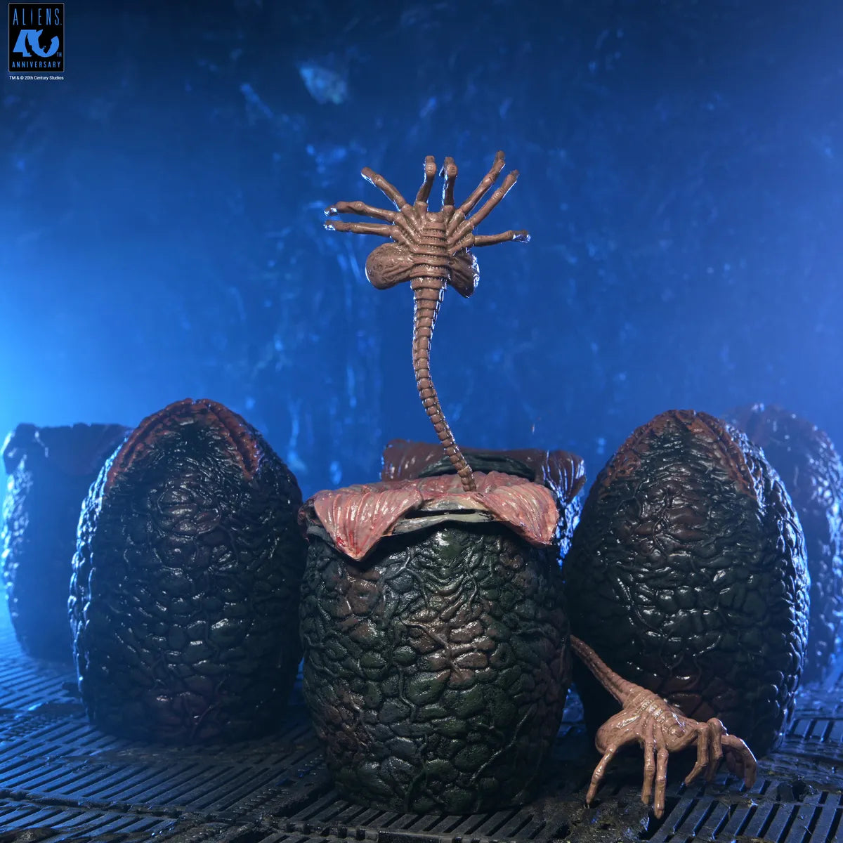 PRE ORDINE - NECA Aliens 6-Pack Accessory Pack Carton of Alien Eggs (40th Anniversary)