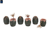 PRE ORDINE - NECA Aliens 6-Pack Accessory Pack Carton of Alien Eggs (40th Anniversary)
