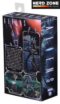 PRE ORDINE - NECA Aliens Ultimate Action Figure Warrior (1986) Blue 23 cm