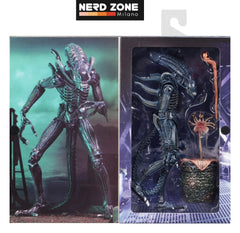 PRE ORDINE - NECA Aliens Ultimate Action Figure Warrior (1986) Blue 23 cm