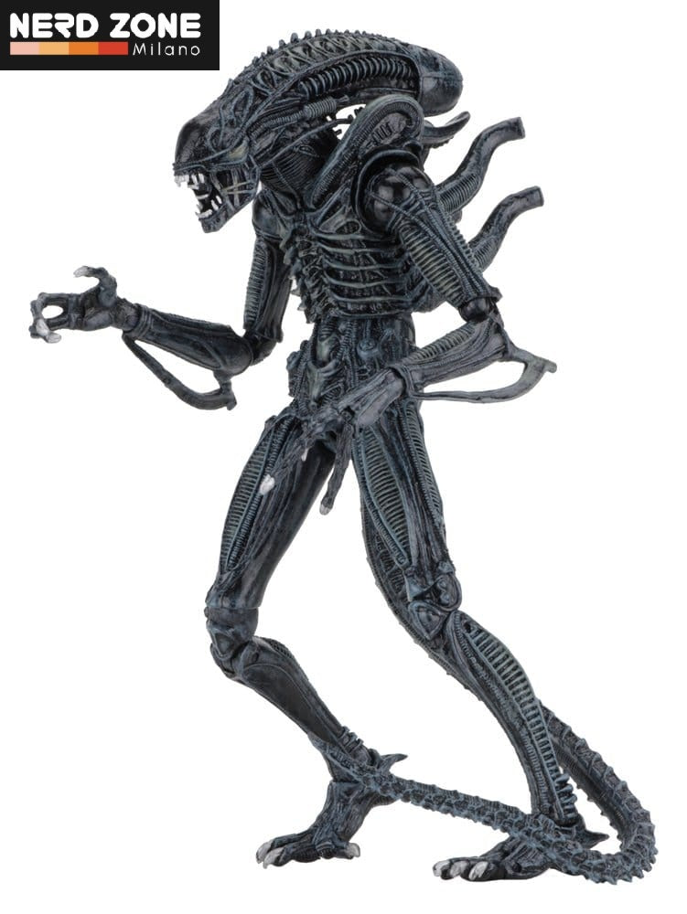 PRE ORDINE - NECA Aliens Ultimate Action Figure Warrior (1986) Blue 23 cm