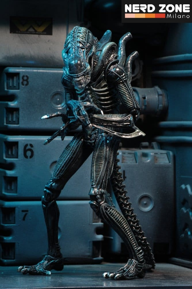 PRE ORDINE - NECA Aliens Ultimate Action Figure Warrior (1986) Blue 23 cm