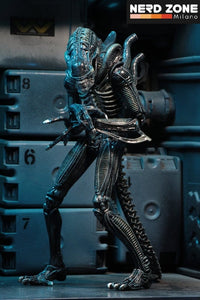 PRE ORDINE - NECA Aliens Ultimate Action Figure Warrior (1986) Blue 23 cm