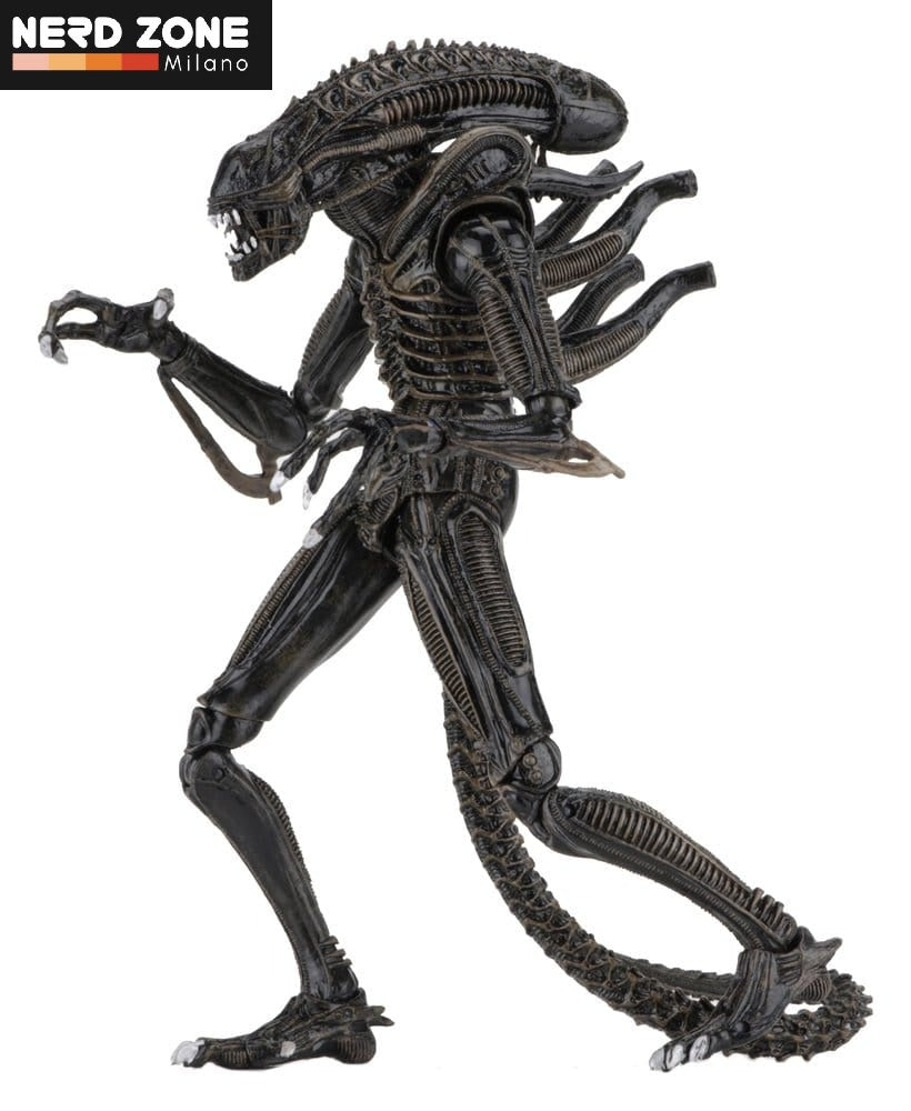 PRE ORDINE - NECA Aliens Ultimate Action Figure Warrior (1986) Brown 23 cm