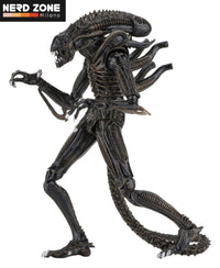 PRE ORDINE - NECA Aliens Ultimate Action Figure Warrior (1986) Brown 23 cm