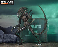 PRE ORDINE - NECA Aliens Ultimate Action Figure Warrior (1986) Brown 23 cm