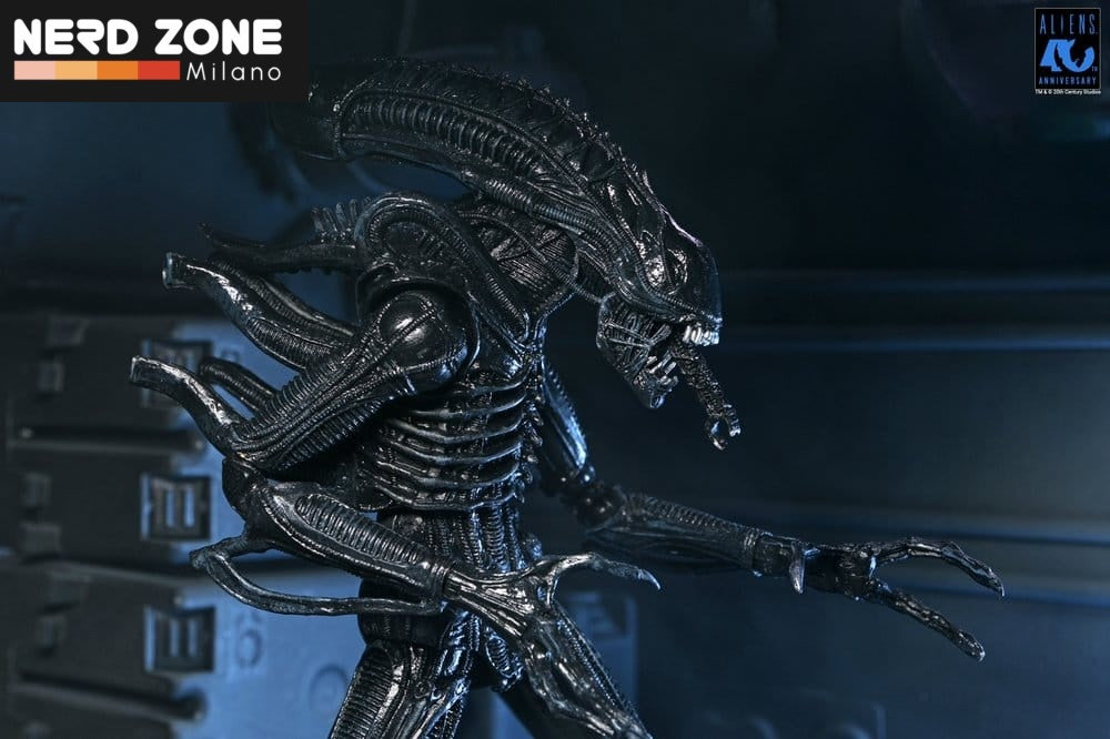 PRE ORDINE - NECA Aliens Ultimate Action Figure Warrior (1986) Xenomorph Black (40th Anniversary) 23 cm