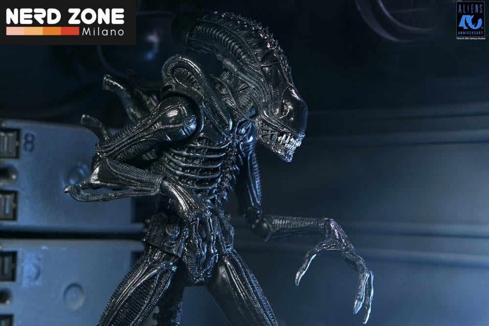 PRE ORDINE - NECA Aliens Ultimate Action Figure Warrior (1986) Xenomorph Black (40th Anniversary) 23 cm