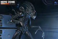 PRE ORDINE - NECA Aliens Ultimate Action Figure Warrior (1986) Xenomorph Black (40th Anniversary) 23 cm