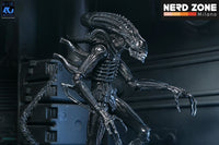 PRE ORDINE - NECA Aliens Ultimate Action Figure Warrior (1986) Xenomorph Black (40th Anniversary) 23 cm